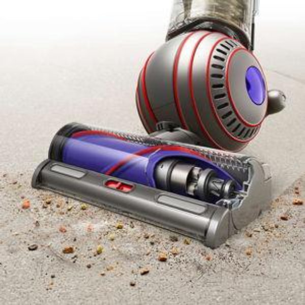 Dyson Ball Animal 3 Complete vacuum