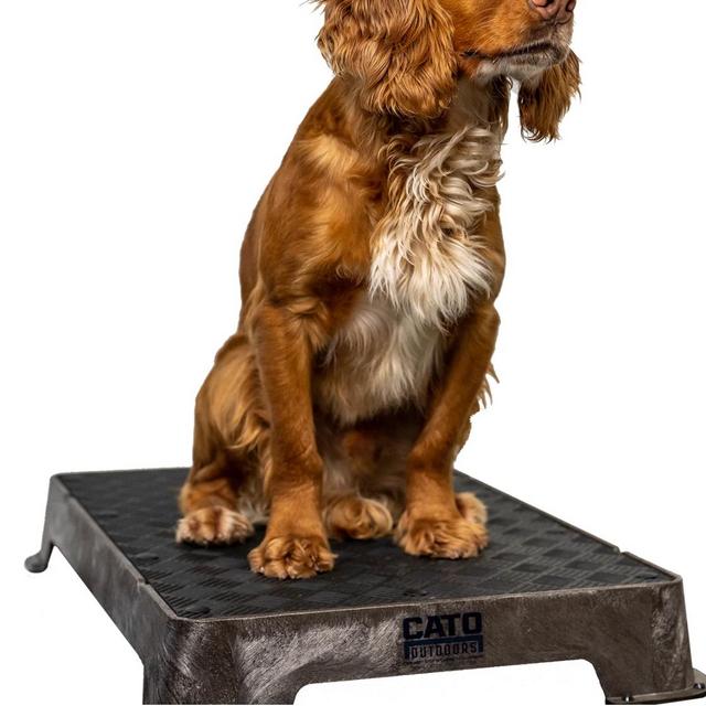 Cato Board Dog Training Platform- Brown