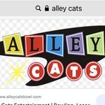 Alley Cats Entertainment and Putt-Putt Golf Center