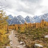 Outdoor & Hiking: Larch Valley Trail