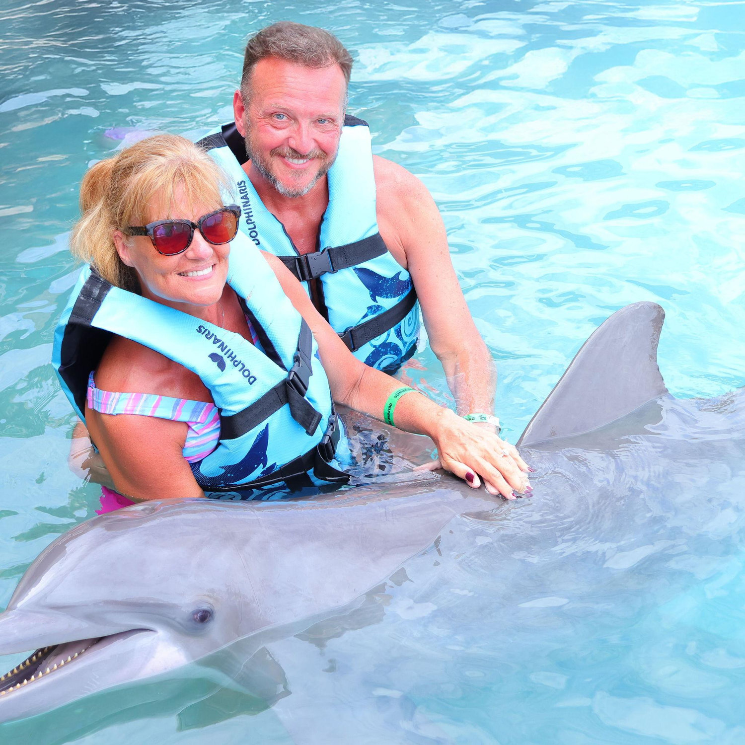 Sadie the dolphin