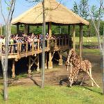 Columbus Zoo and Aquarium