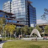 Plaza Arboleda