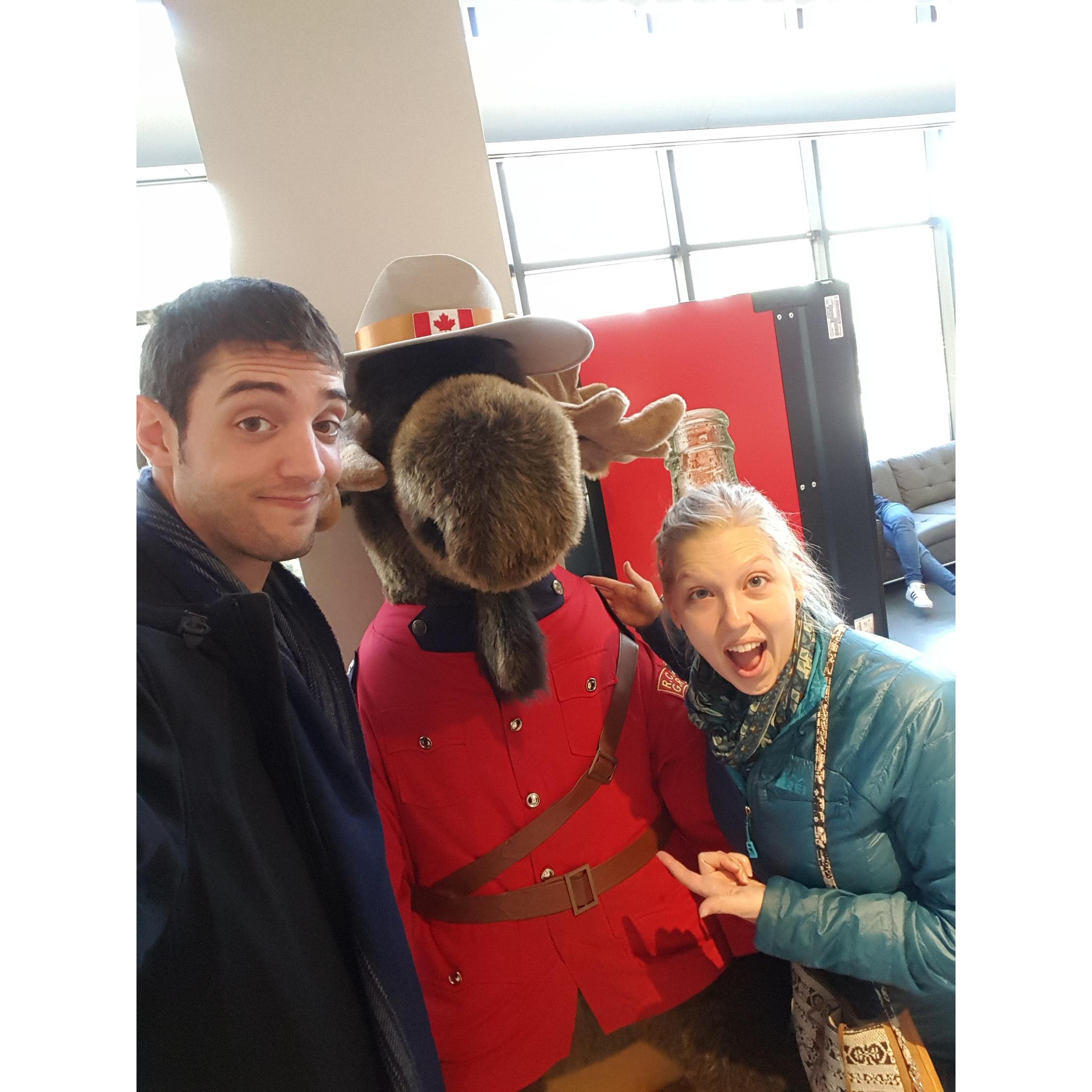 When in Canada you should see a moose and a mountie. Especially if it's both at once