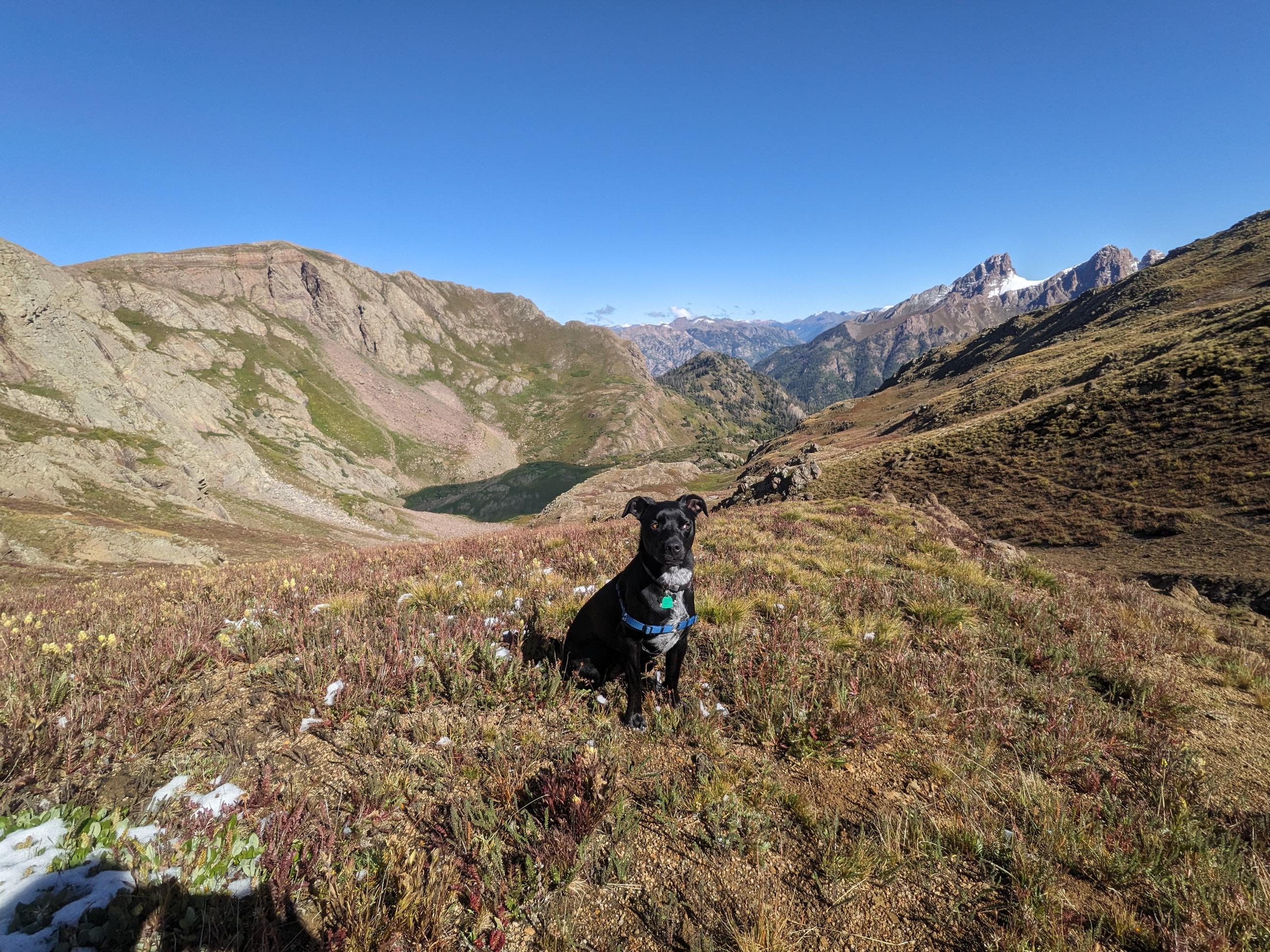 7b07dfc0-75da-49b1-91b6-d95ff5cabd9a