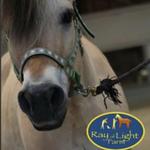 Ray of Light Farm Inc