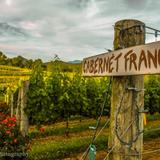 Crane's Pie Pantry Restaurant & Winery