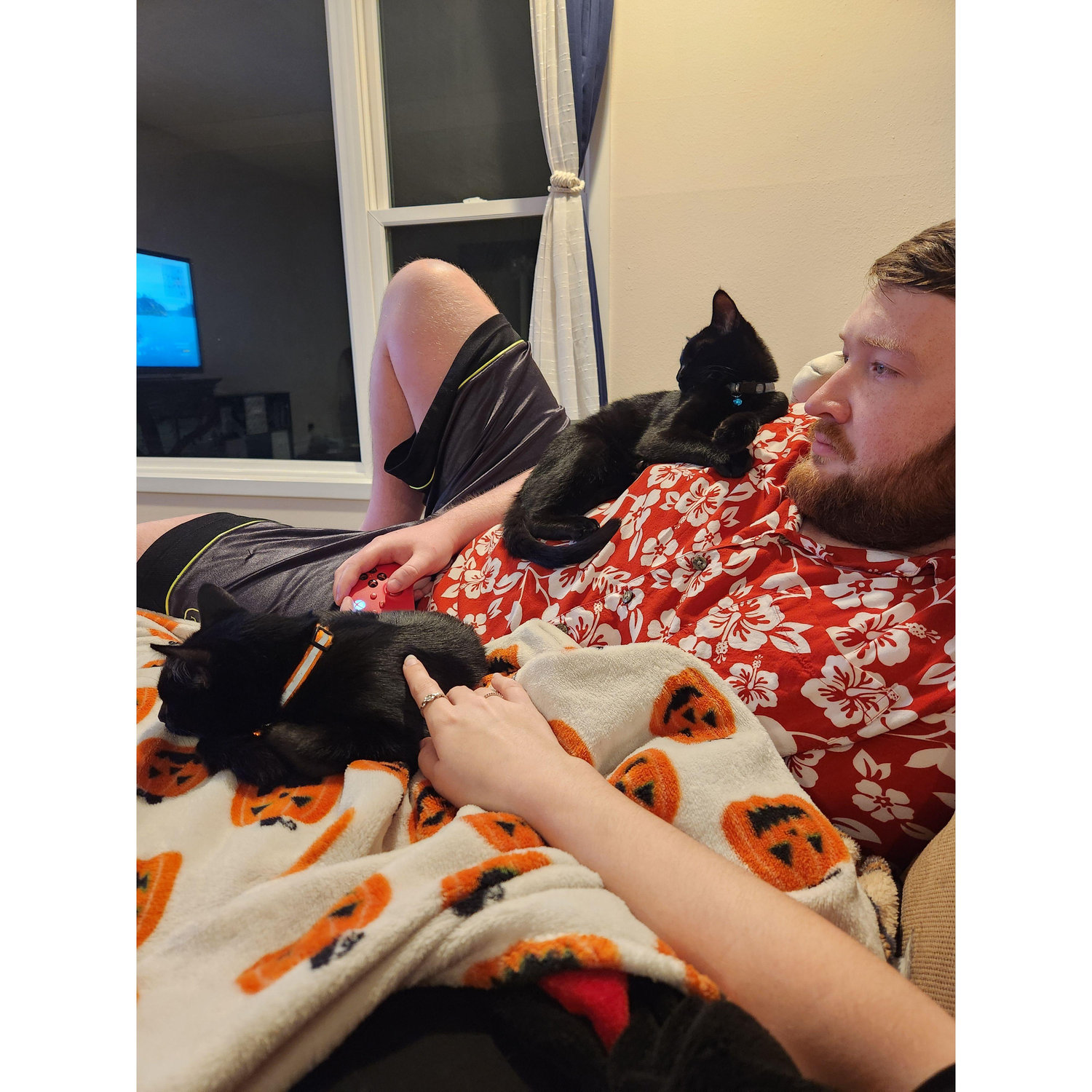 Cuddle puddle!