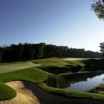 Shepherd's Hollow Golf Club