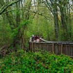 Billy Frank Jr. Nisqually National Wildlife Refuge