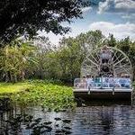 Airboat Rides Everglades Alligators