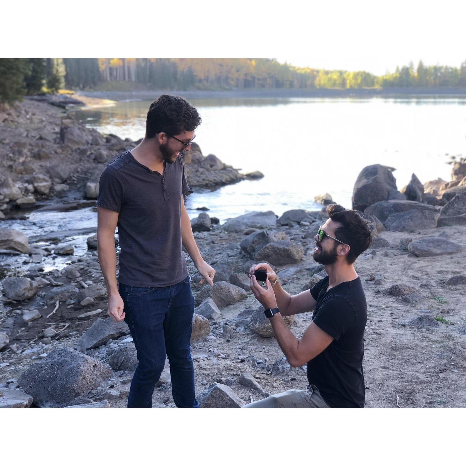 Reality set in and he said "YES!"