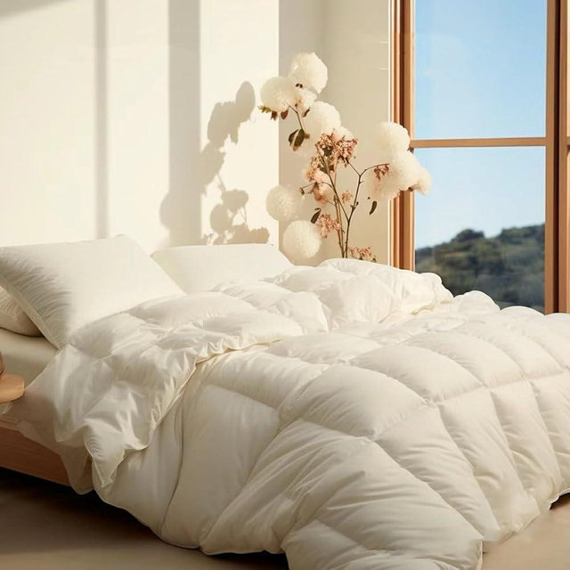 LE FARFADET All Season Queen Size Comforter, Ultra Soft Goose Down Alternative Lightweight Quilt, Reversible Duvet Insert with 8 Corners, Machine Washable, Premium 1800 Series(White, Queen 88''x88'')