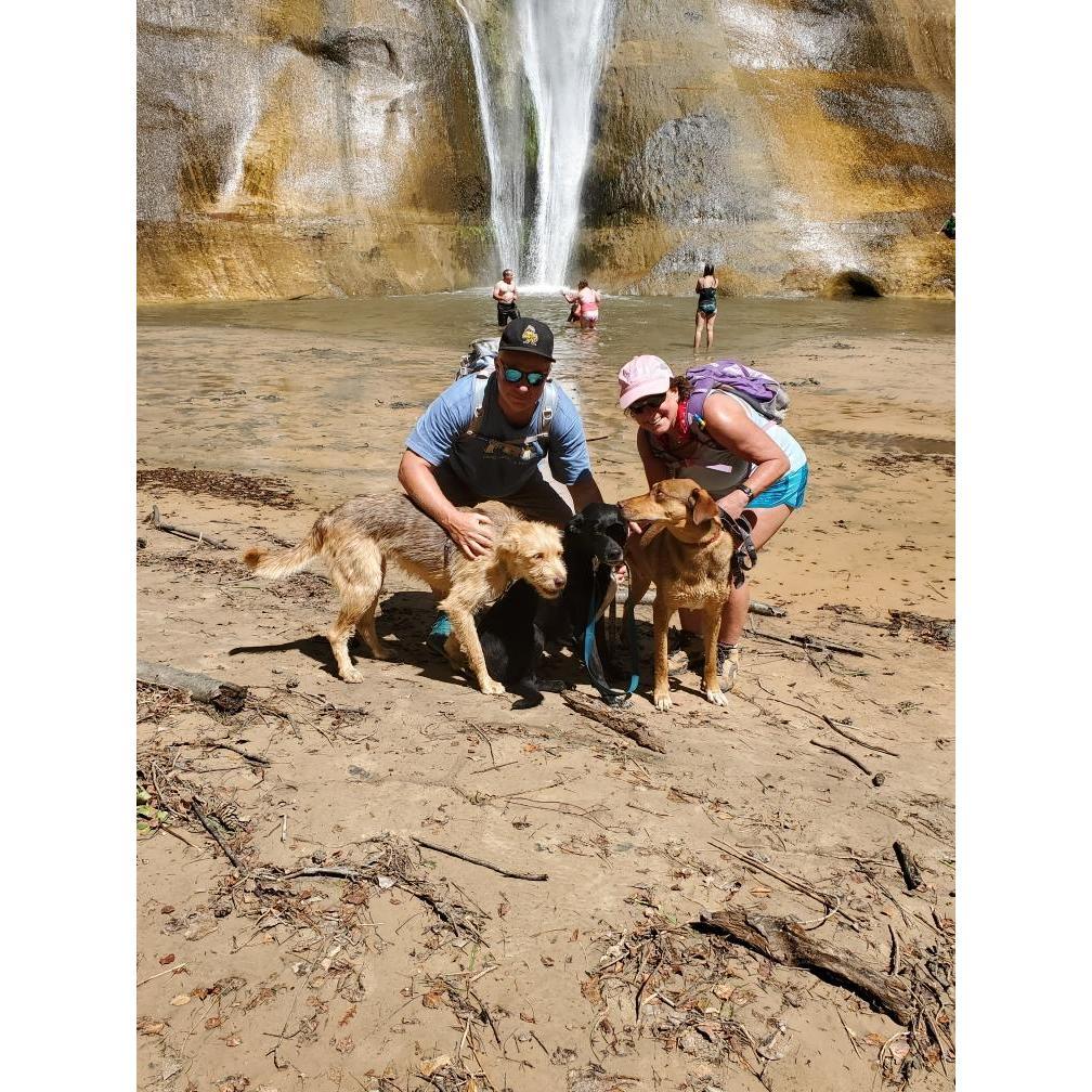 THE BOYS  HOW THEY LOVE THE WATER