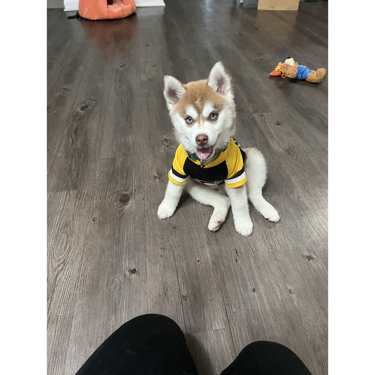 LET'S GO PENS!! 🐧 🏒