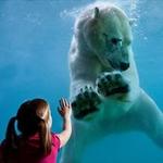 Point Defiance Zoo & Aquarium