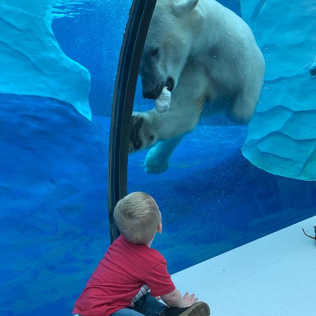Detroit Zoo Season Pass
