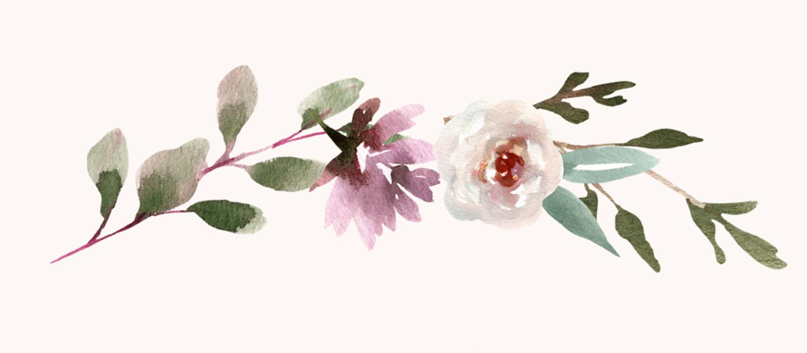 The Wedding Website of Mary Frances Sweeney and Dr. John M. Davis