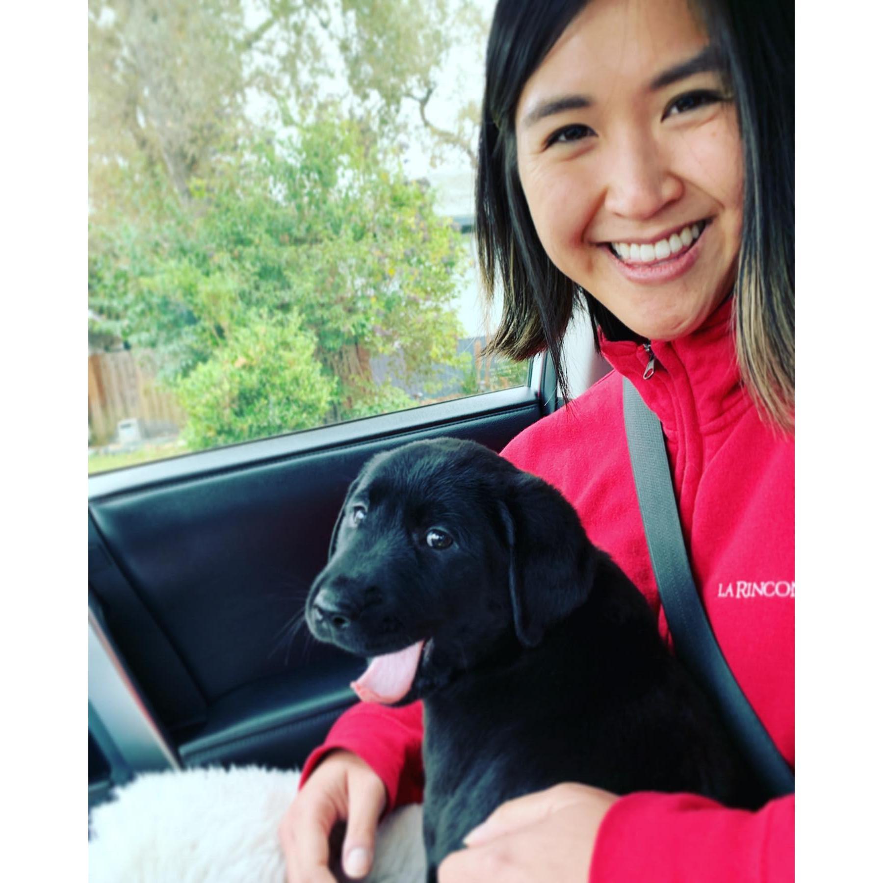 Bringing Luna home (2019)