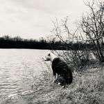 Waterfall Glen Forest Preserve
