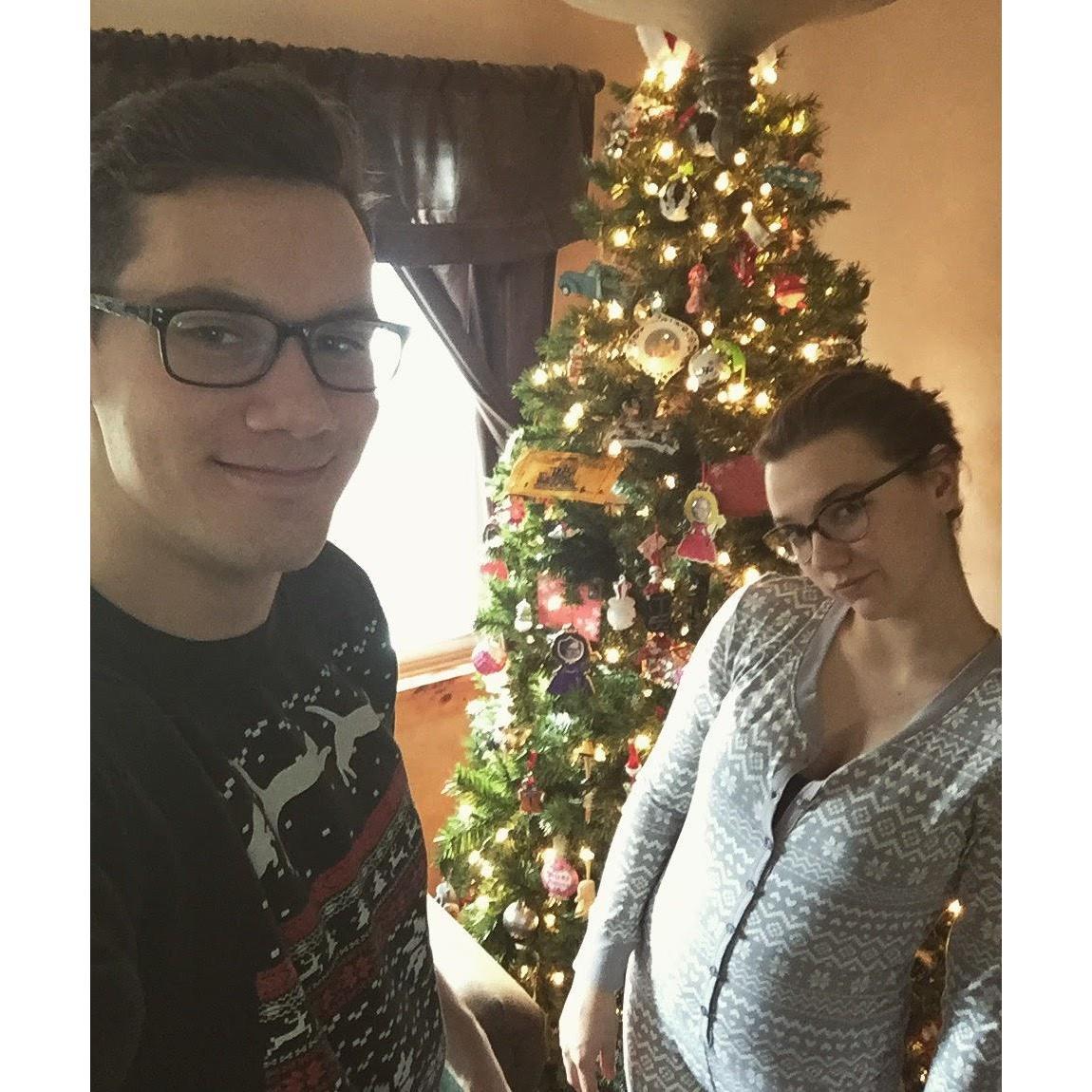 Christmas, Odessa, New York - 2015