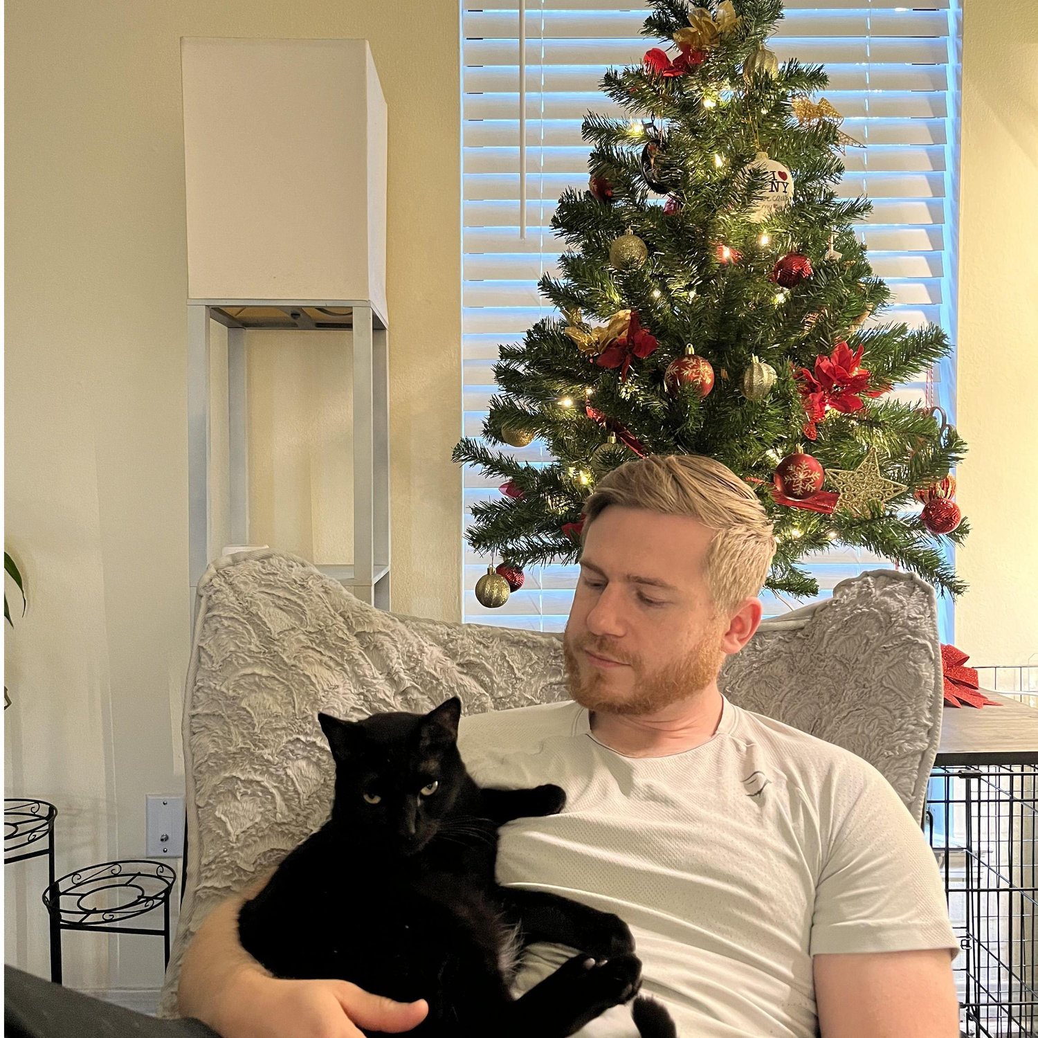 Meeko & Brad, but make it festive.