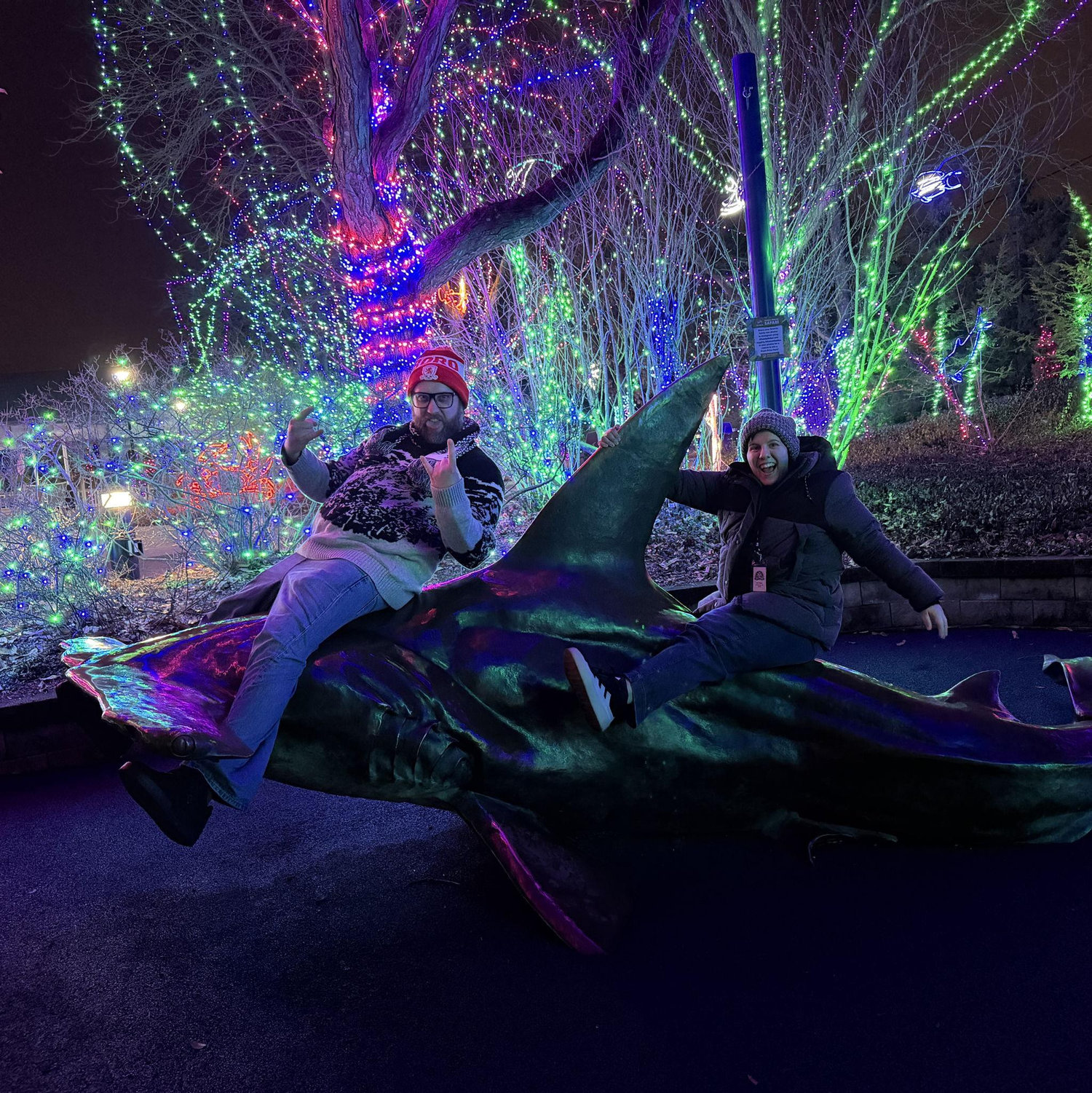 Brew at the Zoo mixed with Zoo lights turned into Lindsey running to the shark and Scott following!
