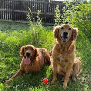 Our Golden Girls Fund