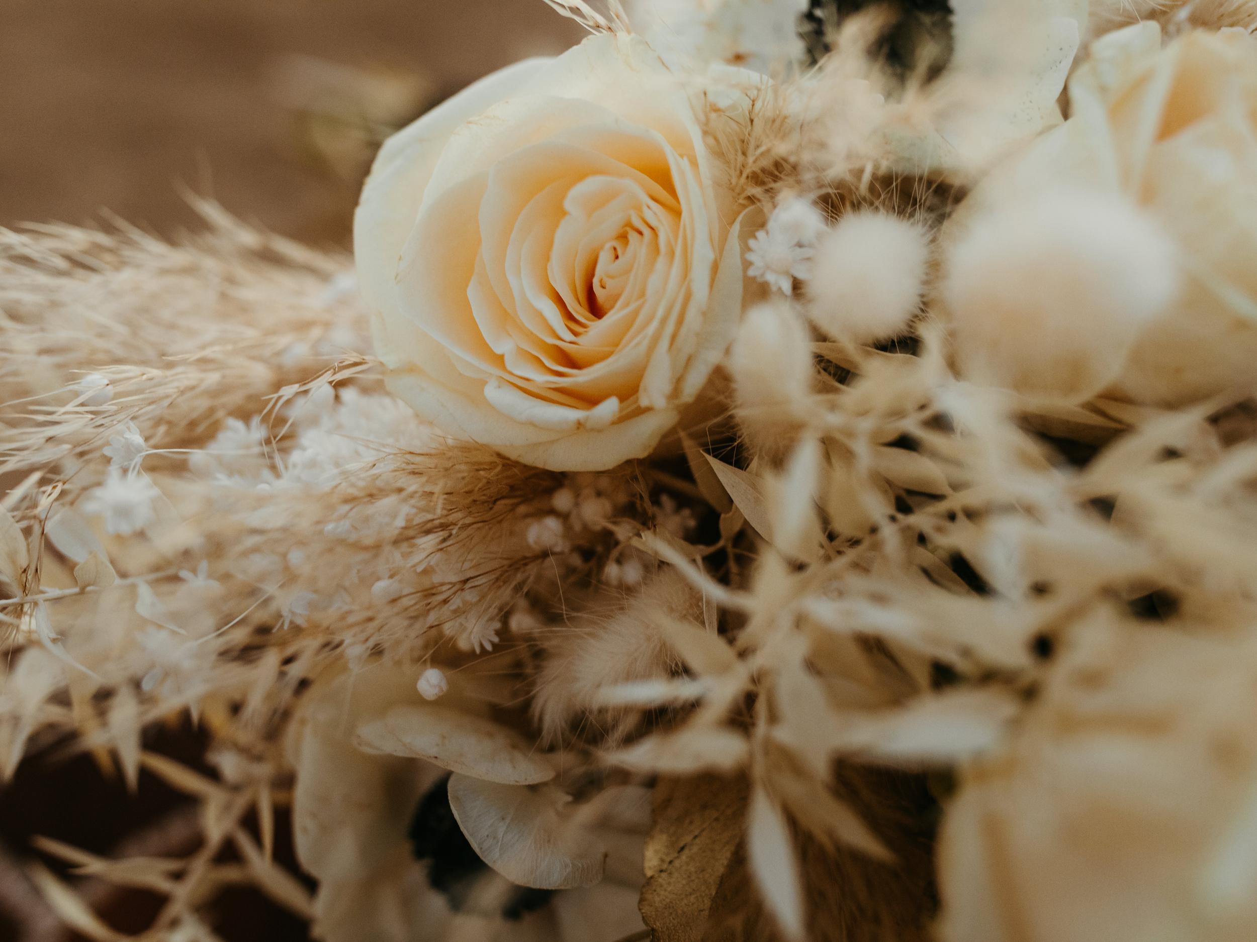 The Wedding Website of Sucheida Driskell and Kyle Driskell