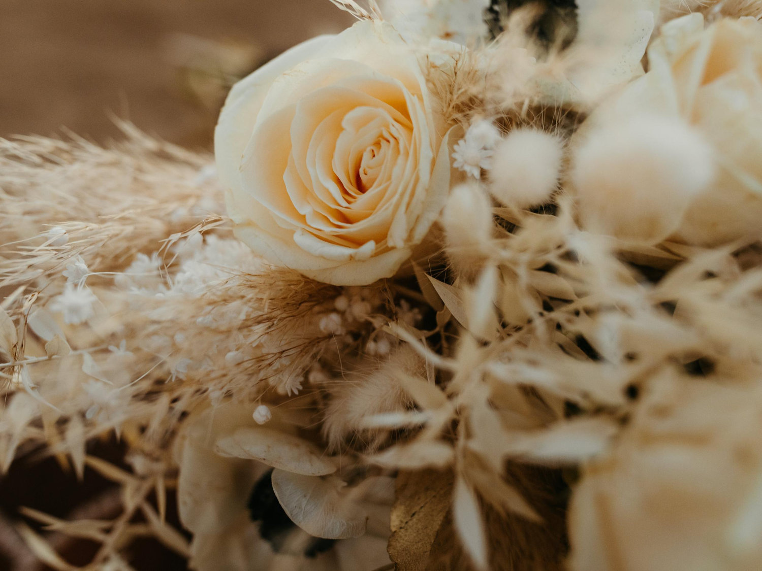 The Wedding Website of Sucheida Driskell and Kyle Driskell