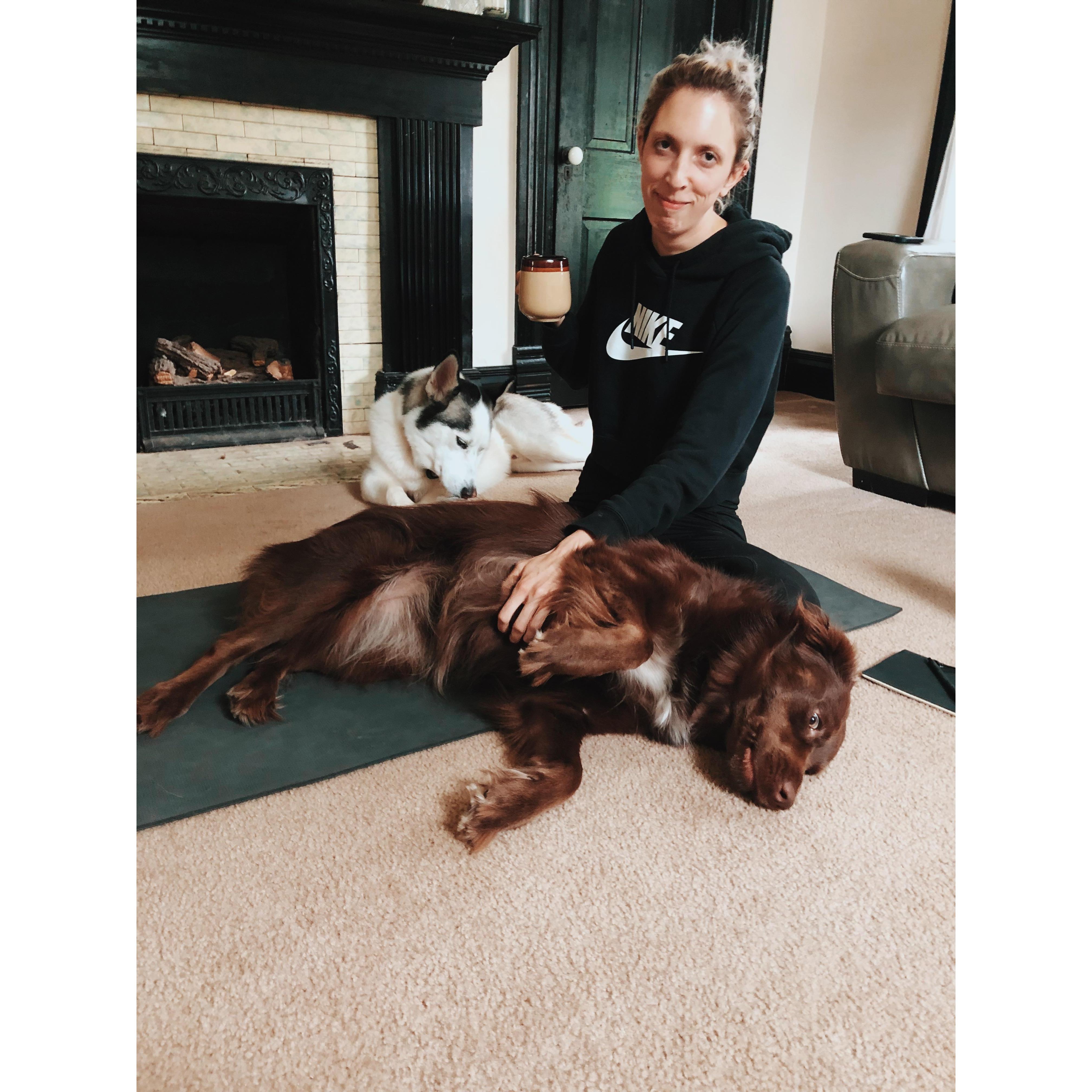 The puppers think yoga time is belly scratch time.