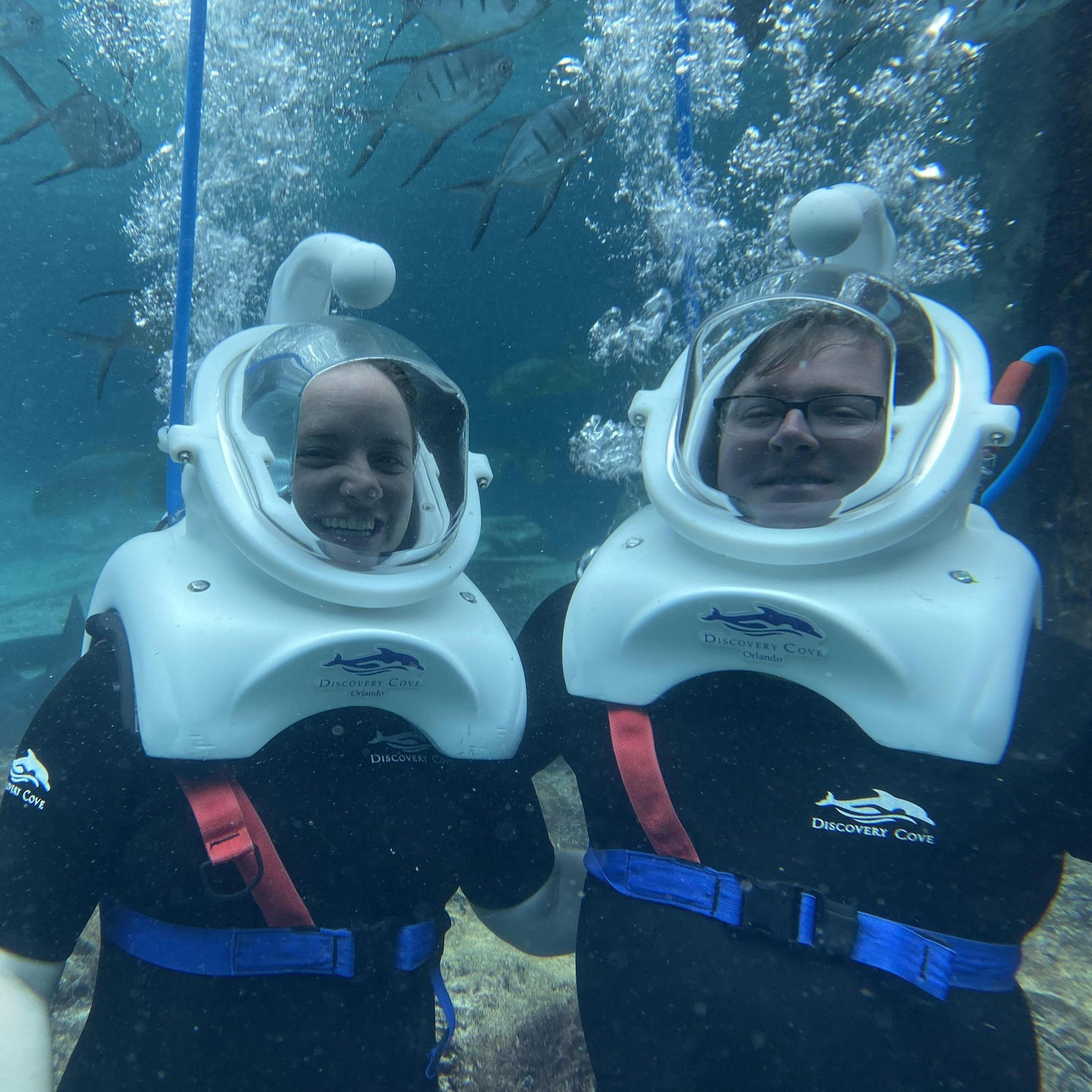 Discovery Cove, Florida