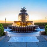 Pineapple Fountain