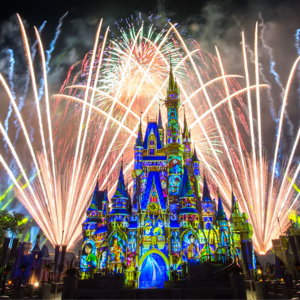 Happily Ever After Fund - Credit Card