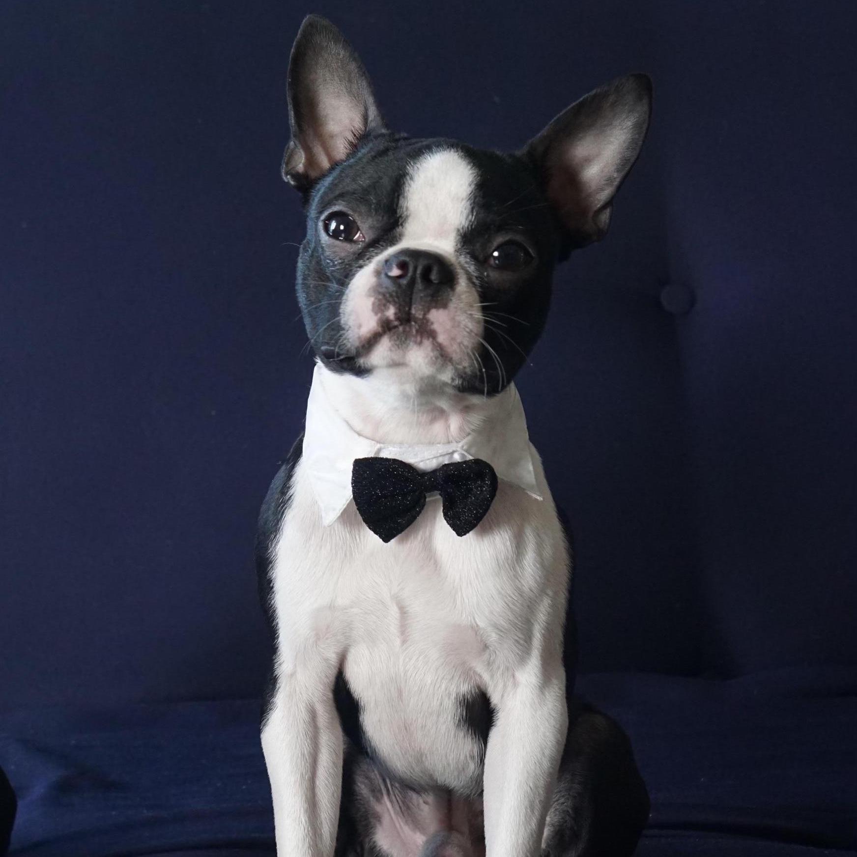 Alfred