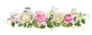 The Wedding Website of Austin Coyne and Kristi LaMotte