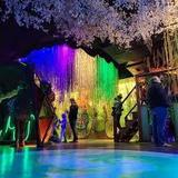 IX Art Park