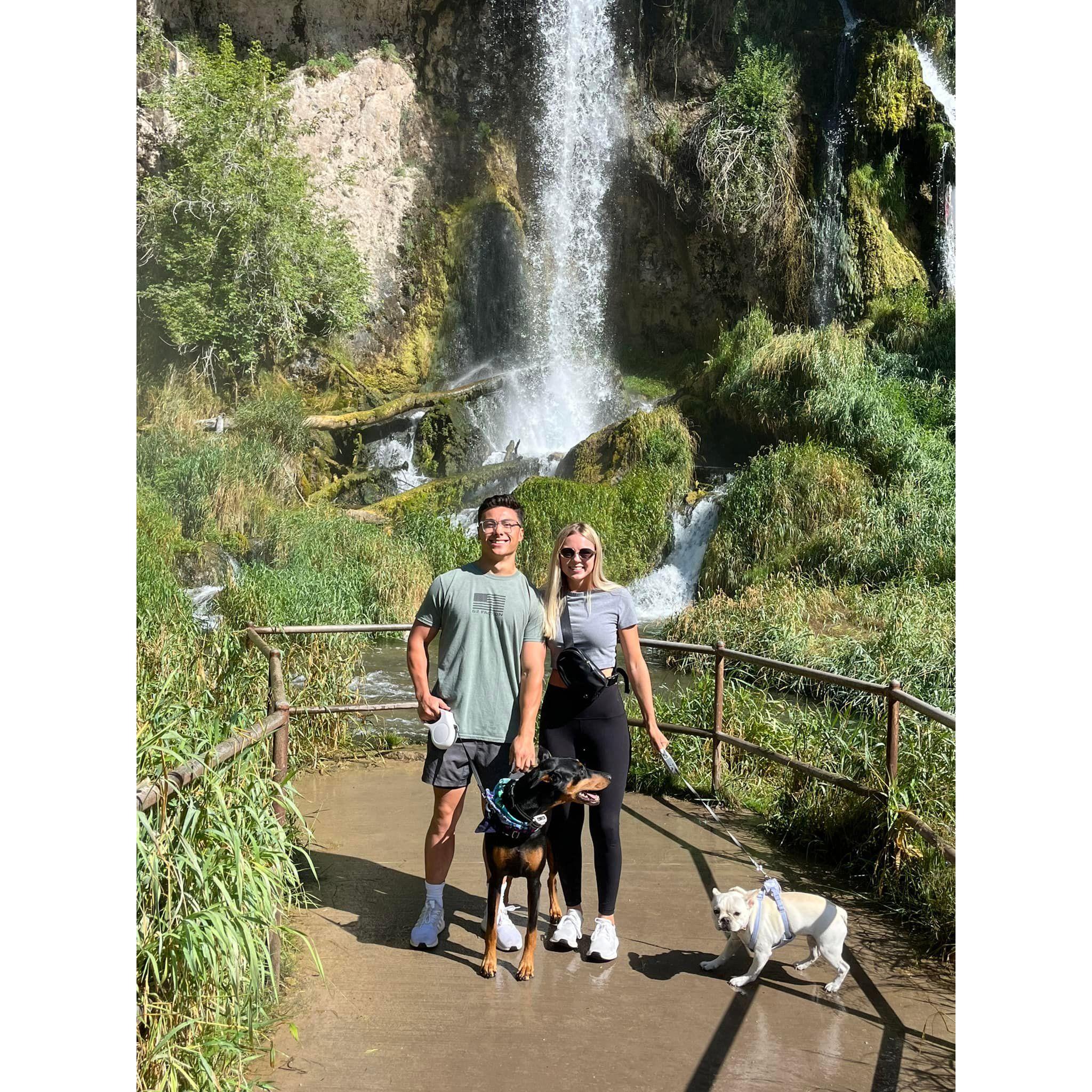 Rifle Falls