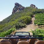 Malibu Wine Safaris