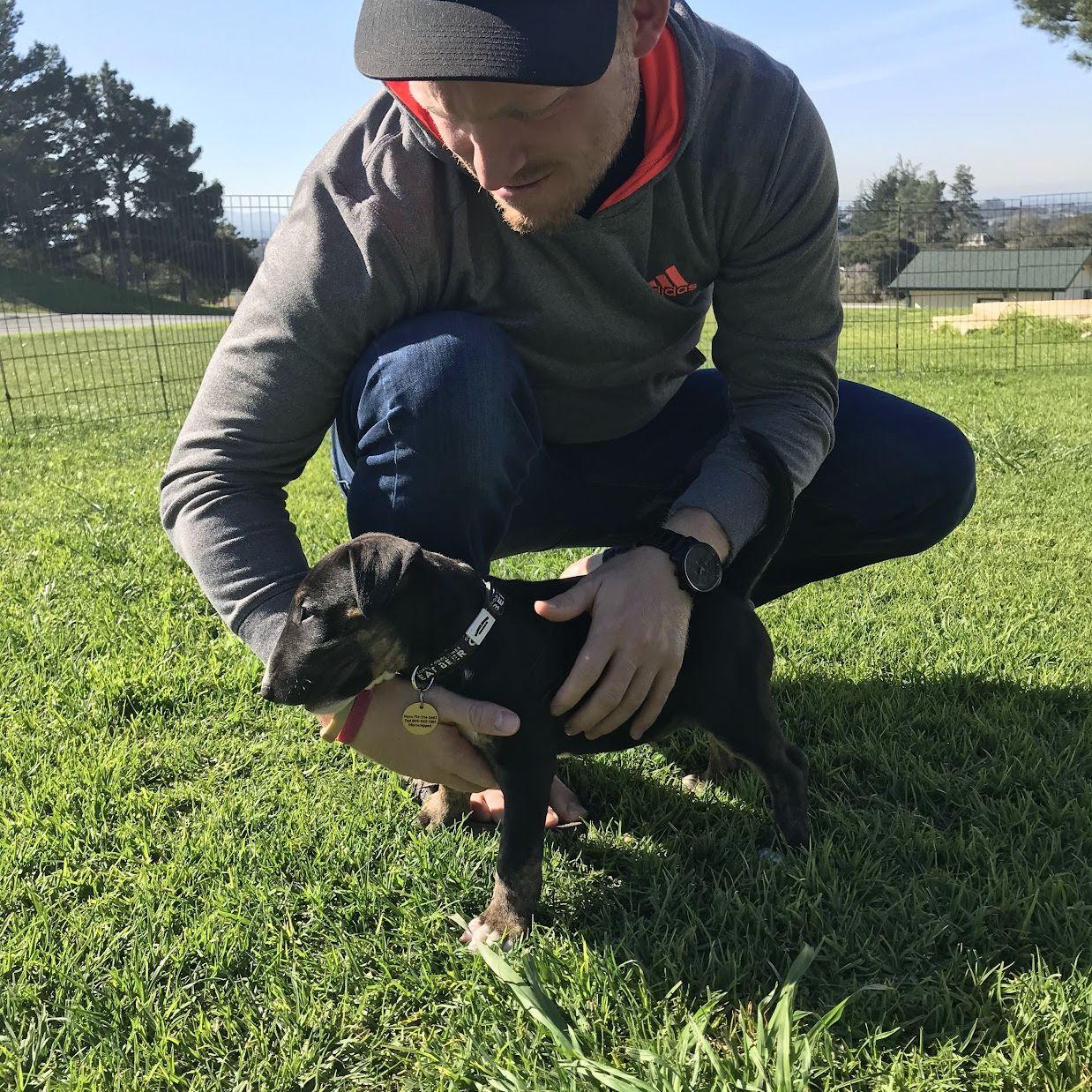 The day we got Luna