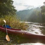 River Wildlife