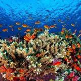 Great Barrier Reef