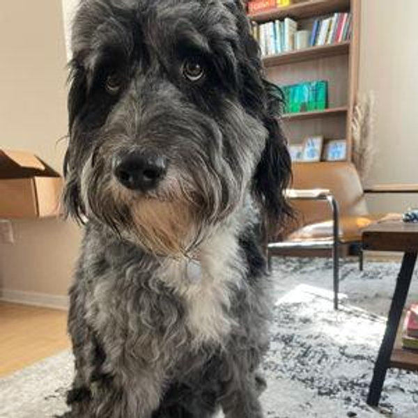 Hugo Vacation