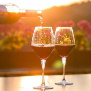 Wine Tasting For Two at Nantucket Vineyard