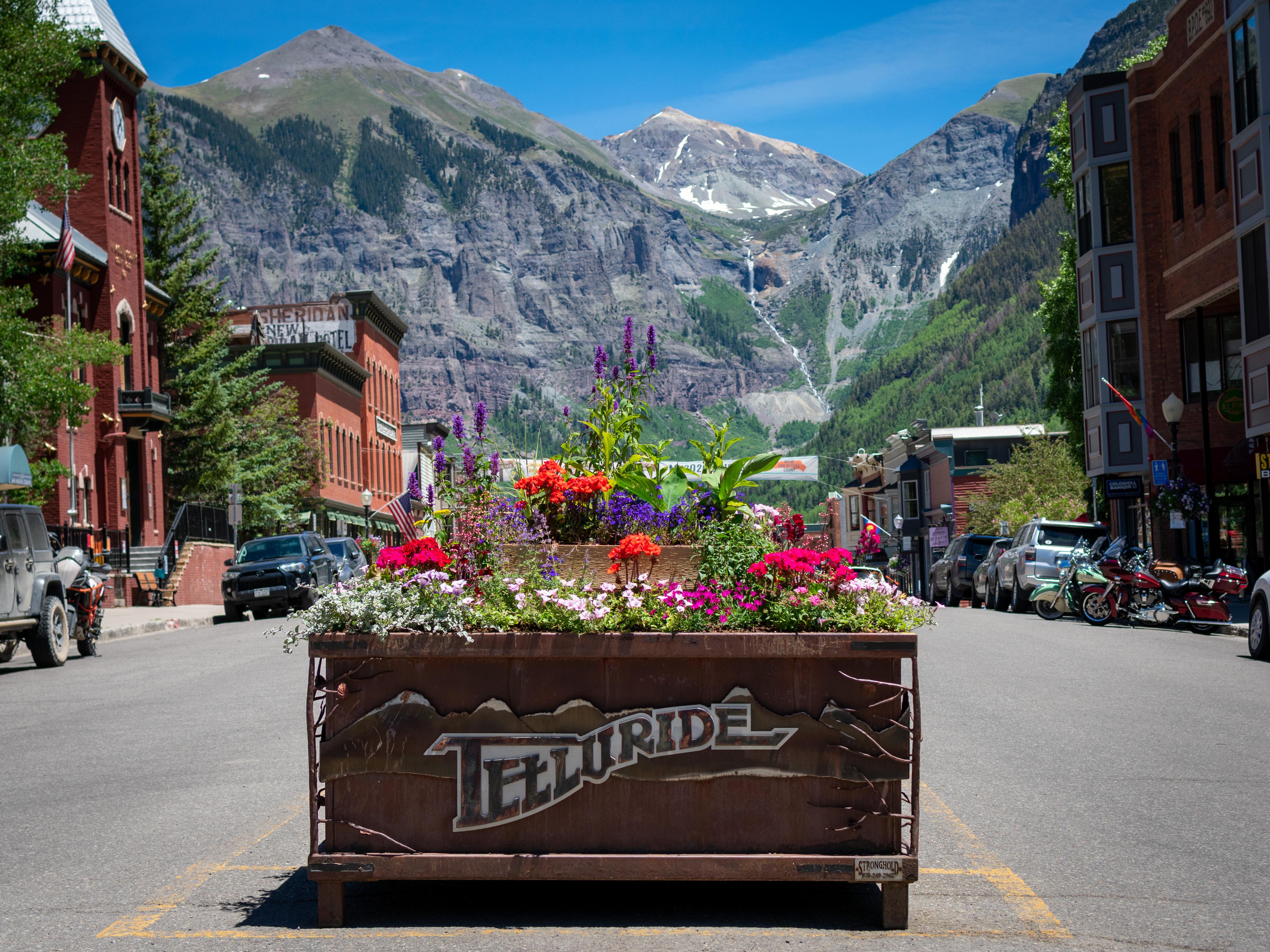 The Wedding Website of Alexandra Gerard and Elliot Scott-Howe