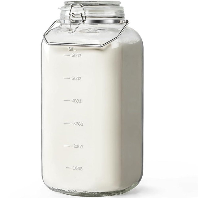 2 Gallon Glass Jar with Airtight Lid, 1 Pack Glass Storage Jars with Sturdy Stainless Steel Handle(256 FL Oz), Wide Mouth Jar, Flour Sugar Storage Containers for Rice, Cereals, Oats, Flour