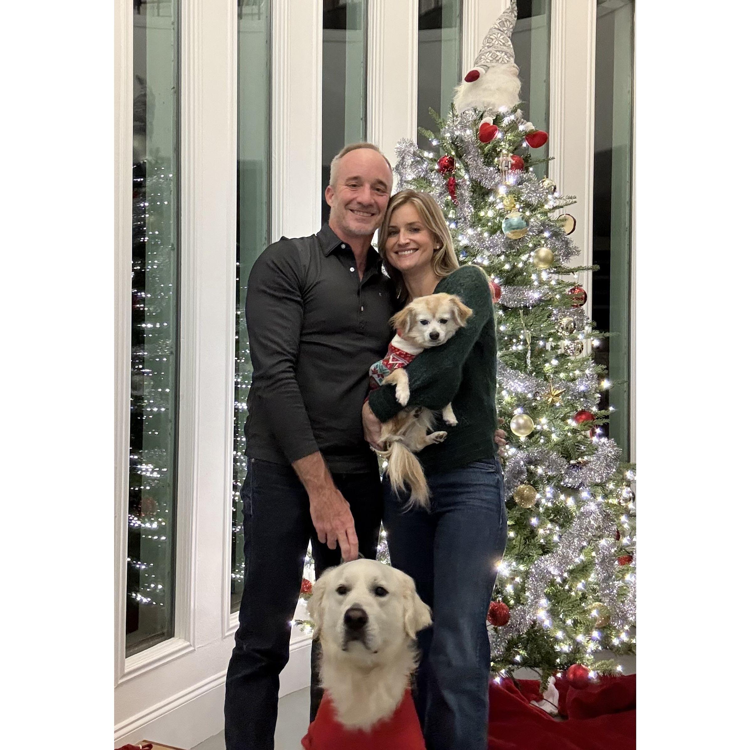First Christmas in the Johanna Street house