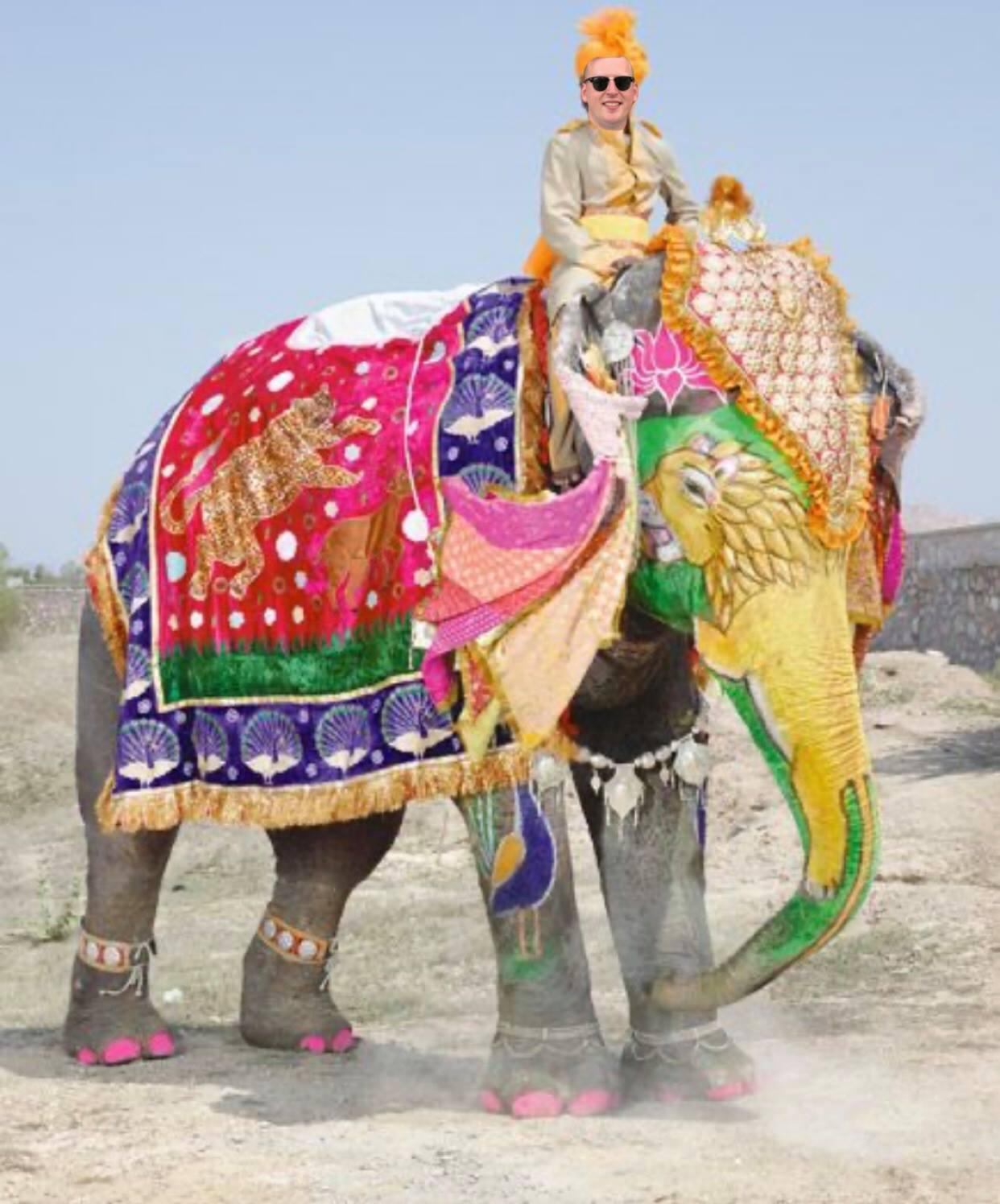 The Wedding Website of Shivani Patel and Kyle Krout