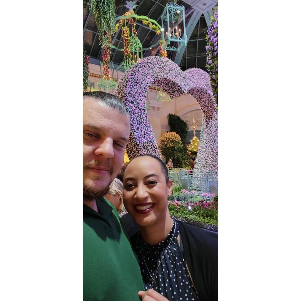 Engagement Photos at Bellagio Flower Conservatory