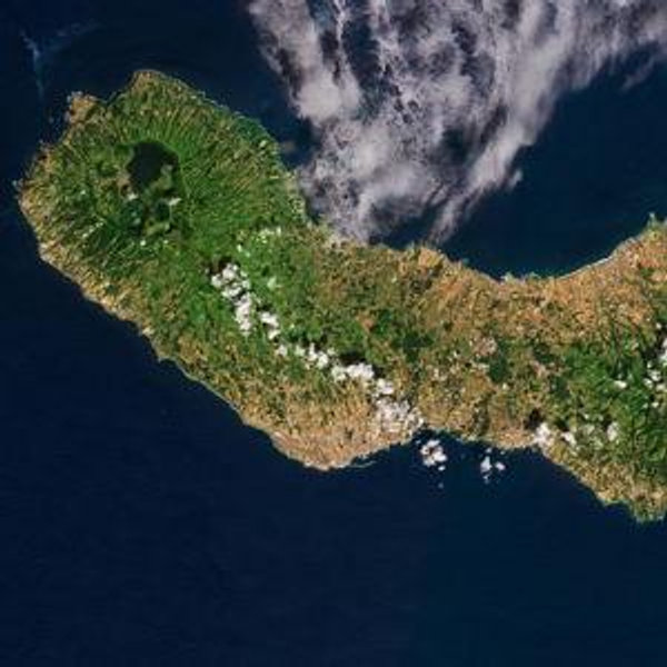 Honeymoon Flights